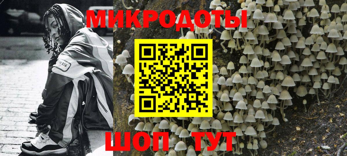 Галлюциногенные грибы MAGIC MUSHROOMS  Вход с VPN  Гатчина 